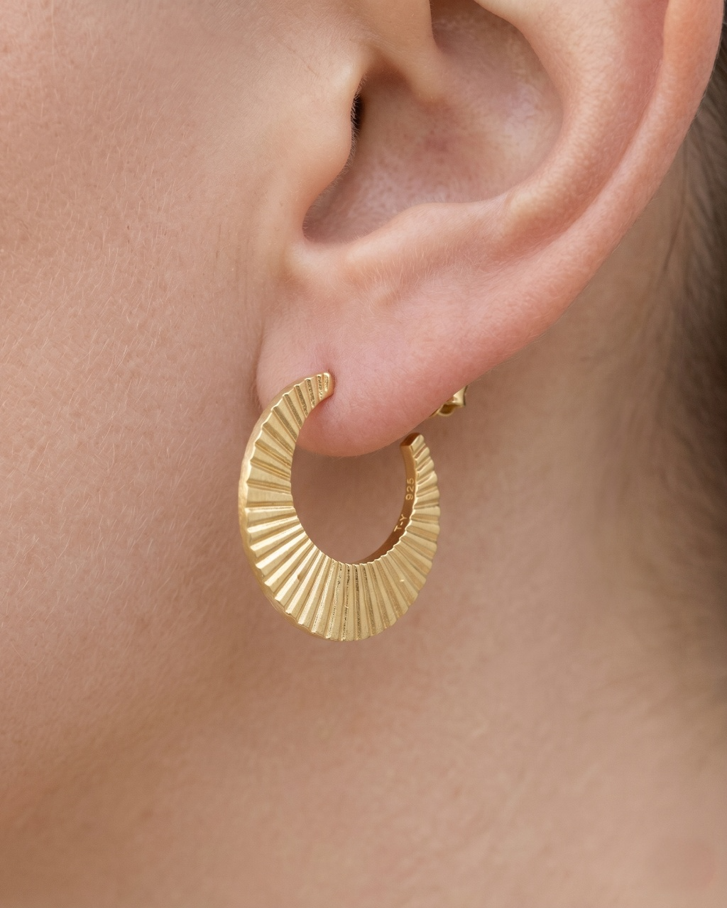 Outward Shine, Inward Truth Earrings