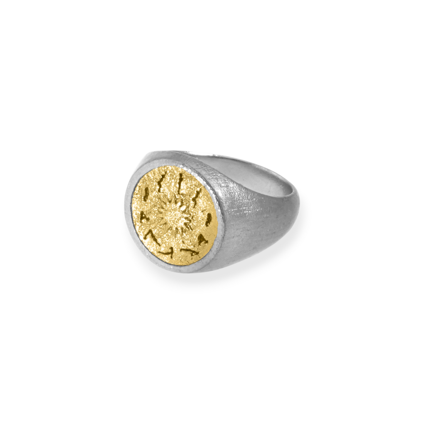 Discipline Before It Shows Ring