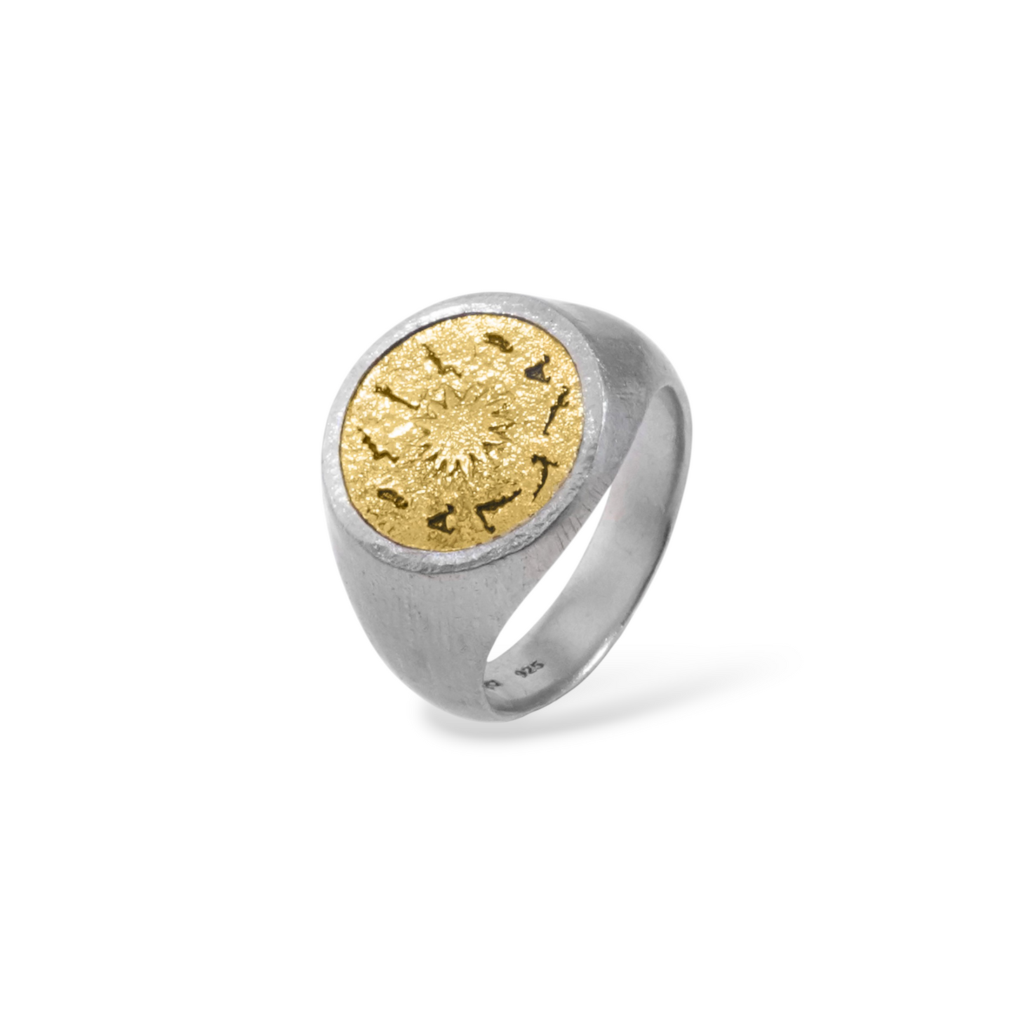Discipline Before It Shows Ring