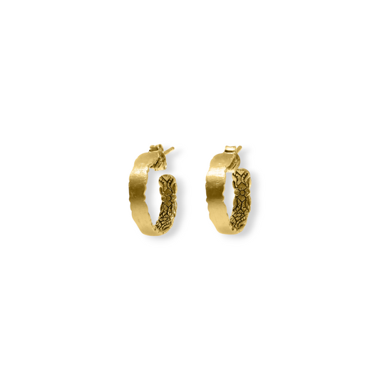 Pride, Worn Lightly Earrings