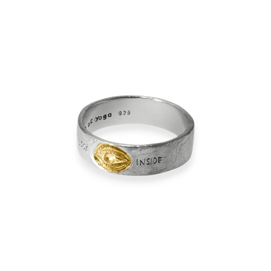 Guarded Inward Reflection Ring