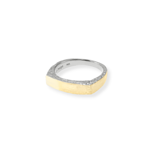 Finally Noticed Ring – 18K gold-plated men's ring by Touch of Yoga