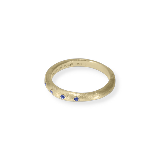 Richness Without Asking Ring