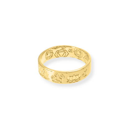 Rising Beyond, Finding Harmony Ring
