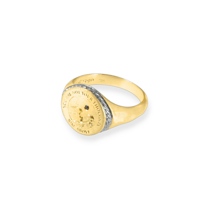 Rise Above The Noise Ring