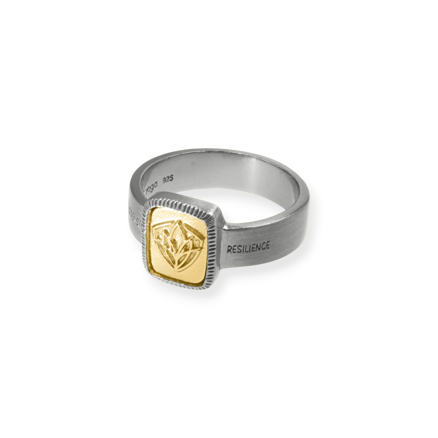 Rising From The Struggle Ring