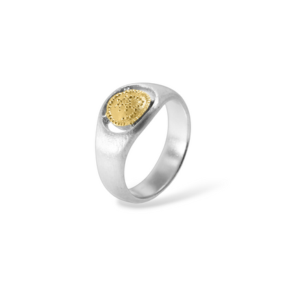 Attention Deserves Attention Ring