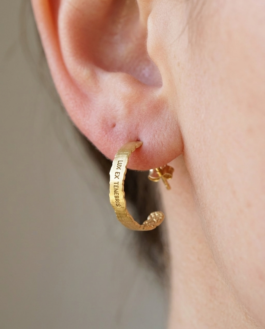 Stars Emerging From Shadow Earrings